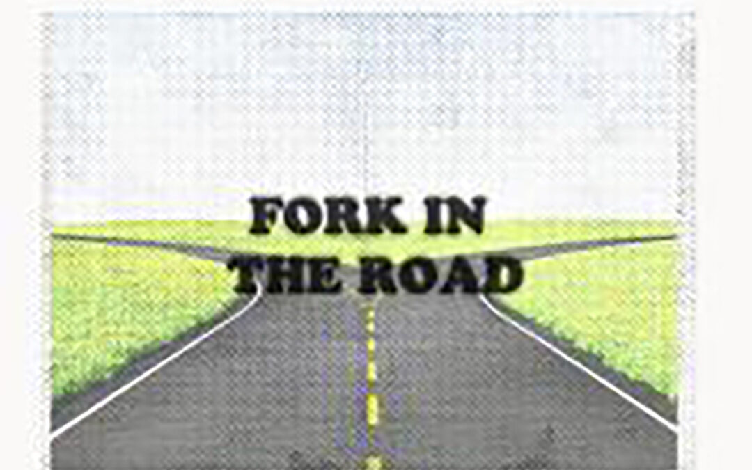 Fork in the Road