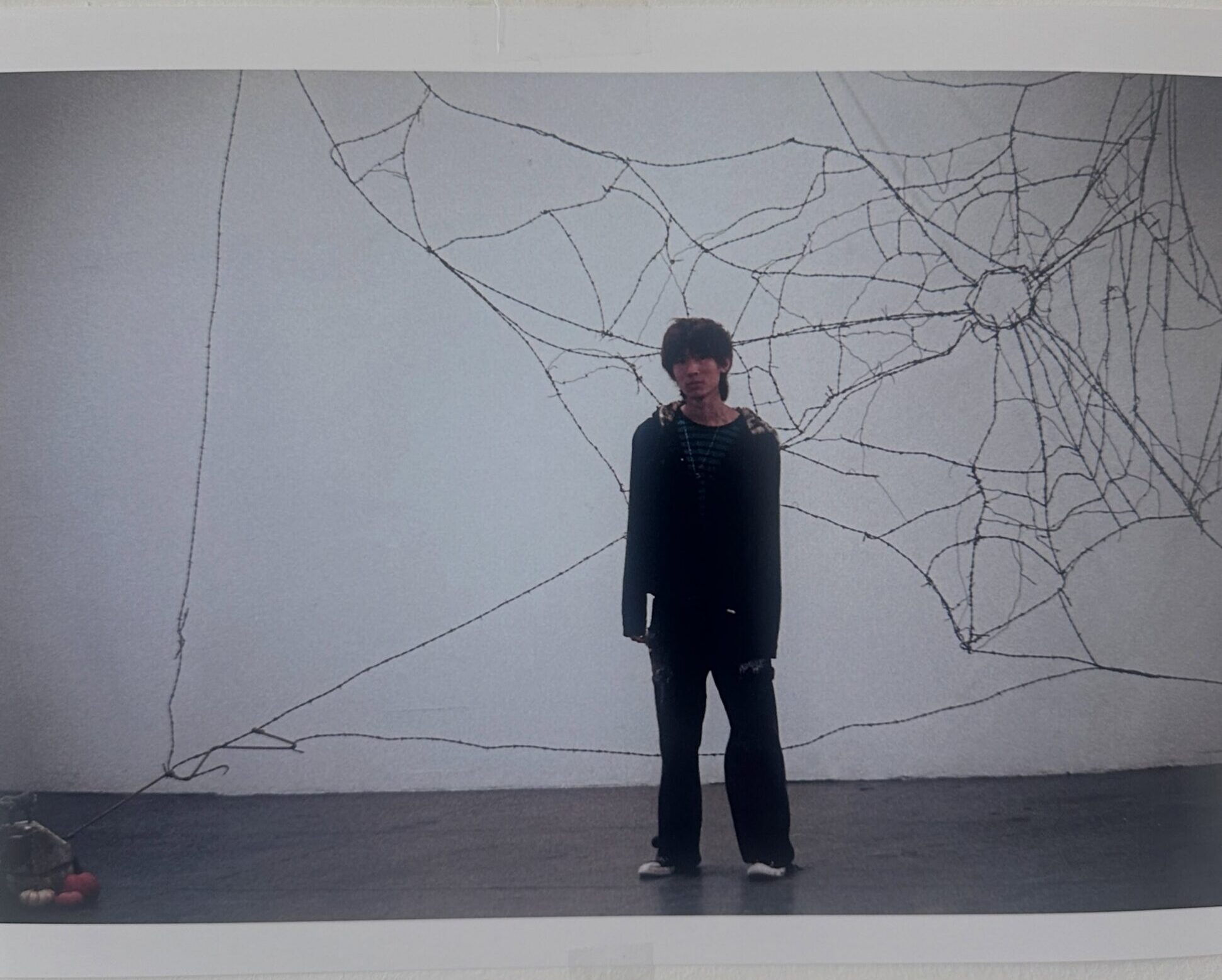 Harry at album art shooting location, in open room with spiderweb tapestry
